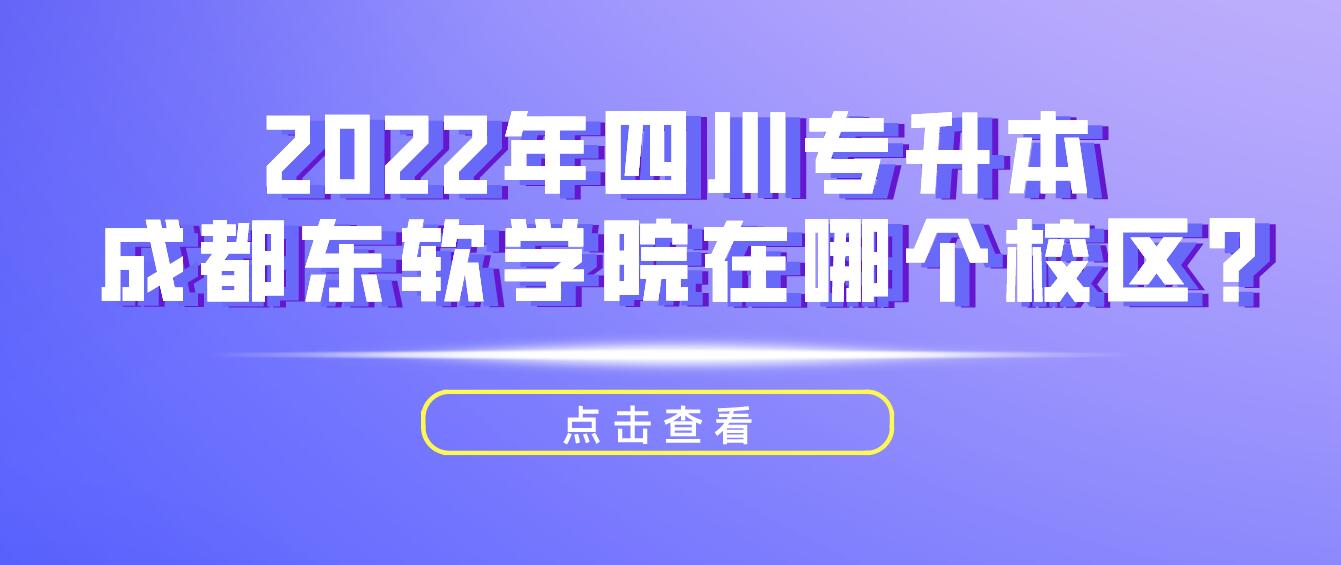 2022年四川專升本成都東軟學(xué)院在哪個校區(qū)?