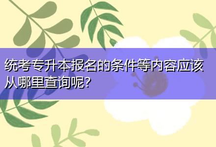 統(tǒng)考專升本報名的條件等內容應該從哪里查詢呢？