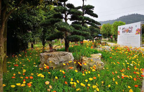 重慶市沙坪壩區(qū)中梁鎮(zhèn)新發(fā)中學(xué)好嗎
