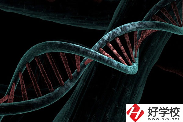 溆浦縣職業(yè)中等專業(yè)學(xué)校宿舍怎么樣？