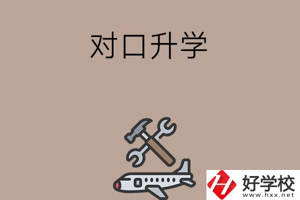 職高學(xué)生參加湖南省對口升學(xué)，有什么本科可以報考？
