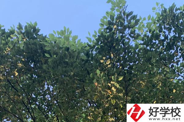 邵陽職業(yè)技術(shù)學(xué)校就業(yè)好不好？值得報(bào)考嗎？
