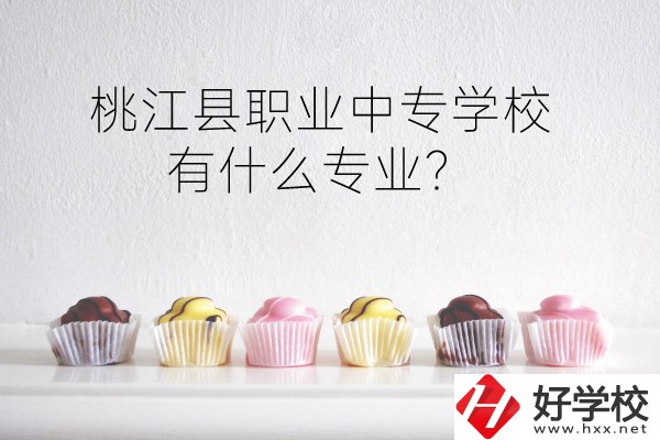 桃江縣職業(yè)中專學校到底好不好？有什么專業(yè)？