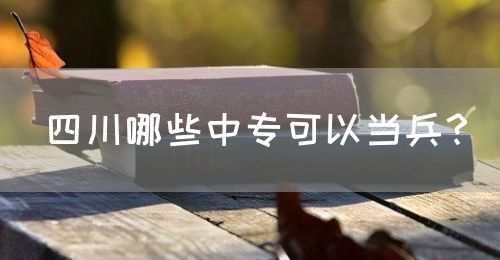 四川哪些中?？梢援?dāng)兵？(圖1)