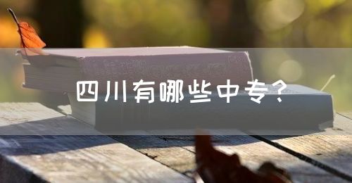四川有哪些中專？(圖1)