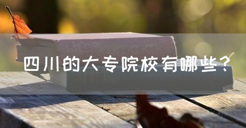 四川的大專院校有哪些？(圖1)