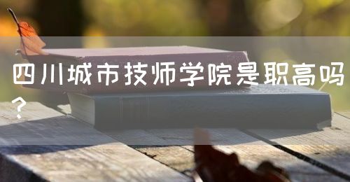 四川城市技師學(xué)院是職高嗎？(圖1)