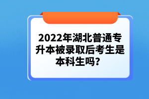 2022年湖北普通專升本被錄取后考生是本科生嗎？