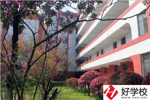 婁底有哪些技校？哪一所比較好？