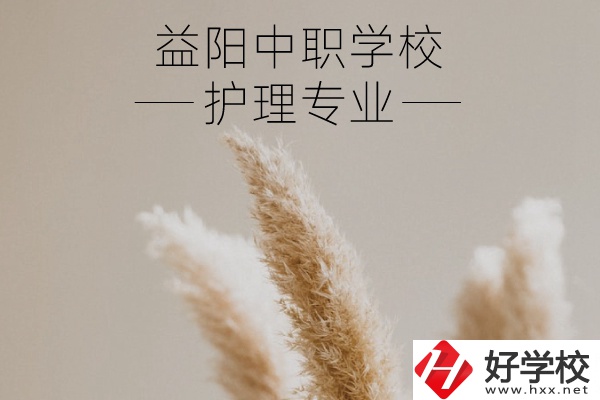 益陽護(hù)理專業(yè)的中職學(xué)校有哪些？需要哪些要求？