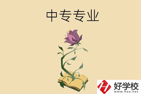在張家界讀中專，學什么專業(yè)比較好？