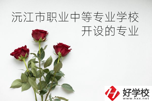 沅江市職業(yè)中等專業(yè)學(xué)校怎么樣？開(kāi)設(shè)哪些專業(yè)？