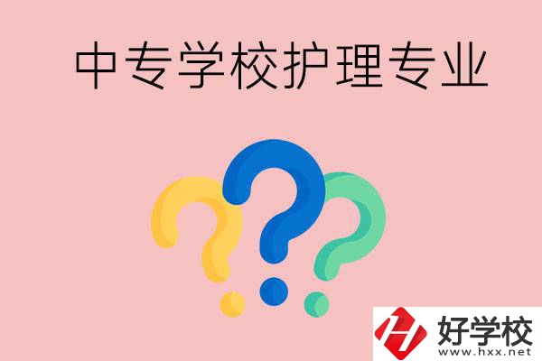 湖南的公辦中專學(xué)校哪些可以學(xué)護(hù)理專業(yè)？