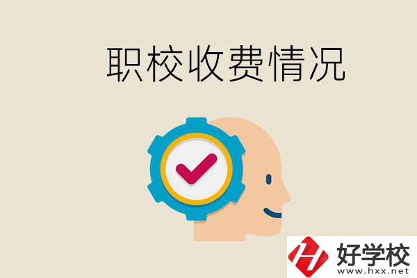 湖南的職校是怎么收費(fèi)的？民辦學(xué)校一年學(xué)費(fèi)要多少？