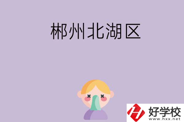 郴州北湖區(qū)有哪些學校？