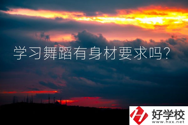 懷化有可以學習舞蹈的中專學校嗎？有身材要求嗎？