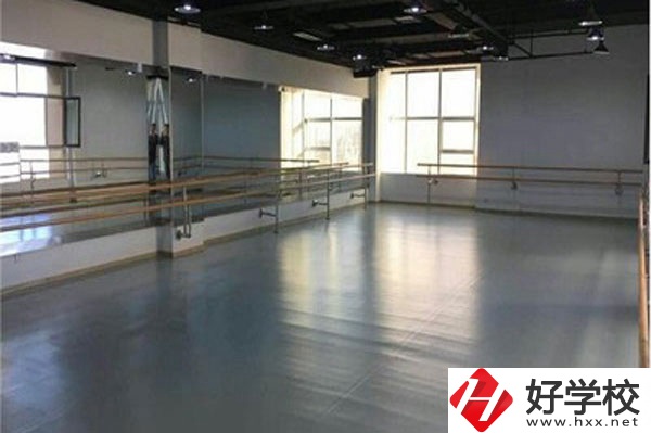 想在衡陽學(xué)藝術(shù)類專業(yè)，看看這所學(xué)校！