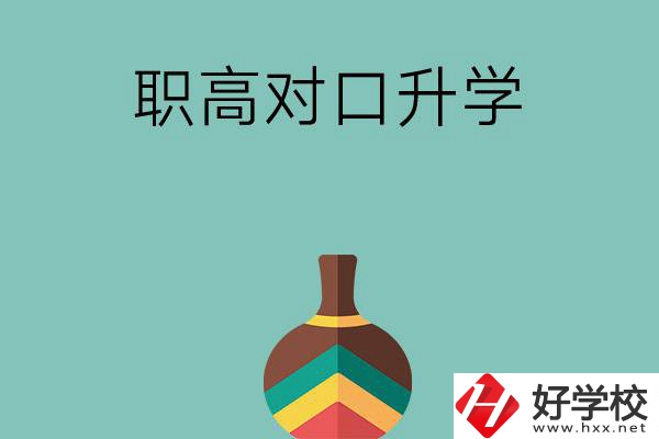 湖南職高對(duì)口升學(xué)可以考哪些大專？