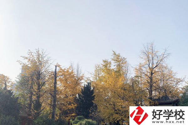 湘潭縣就業(yè)職業(yè)技術(shù)學(xué)校有哪些專業(yè)？就業(yè)前景怎么樣？