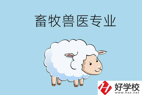 畜牧獸醫(yī)專業(yè)好就業(yè)嗎？湖南哪些技校開設了該專業(yè)？