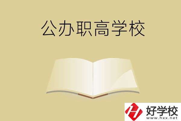 懷化公辦的職高學校有哪些？