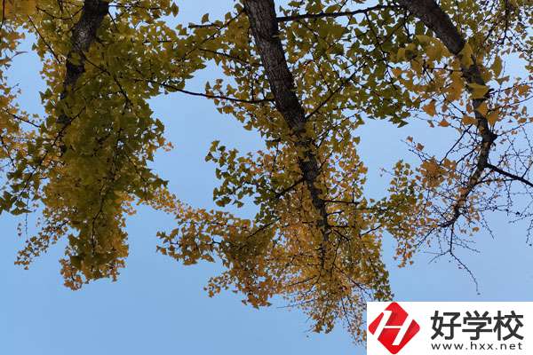 株洲有哪些比較好的中專學(xué)校？