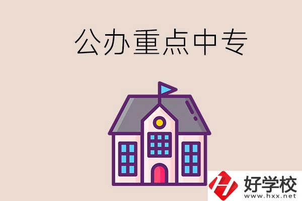 湖南重點中專學校里哪些是公辦的？