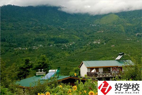 益陽(yáng)大誠(chéng)職業(yè)學(xué)校的專業(yè)怎么樣？就業(yè)方向如何？