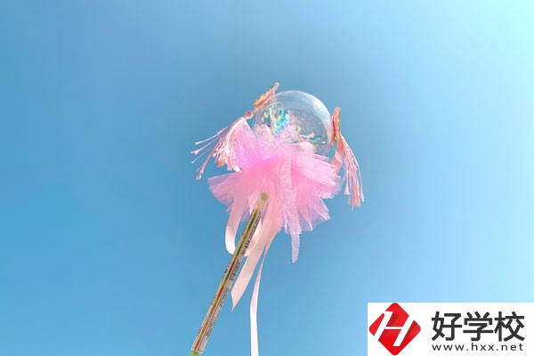 邵陽縣有什么中專學校？師資力量如何？