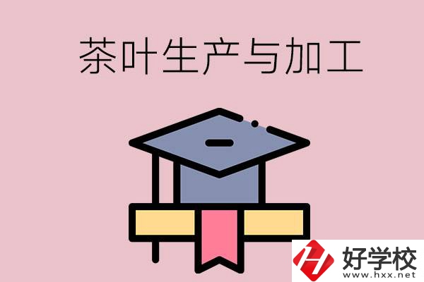 湖南哪些技校開設(shè)了茶葉生產(chǎn)與加工專業(yè)？