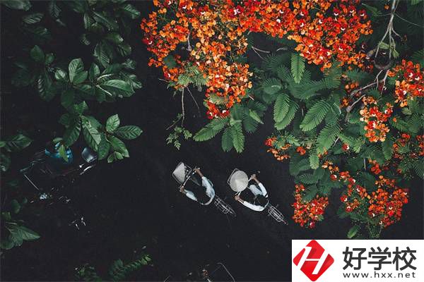 湖南分數(shù)低選私立高中還是選職校？選職校還能統(tǒng)考嗎？