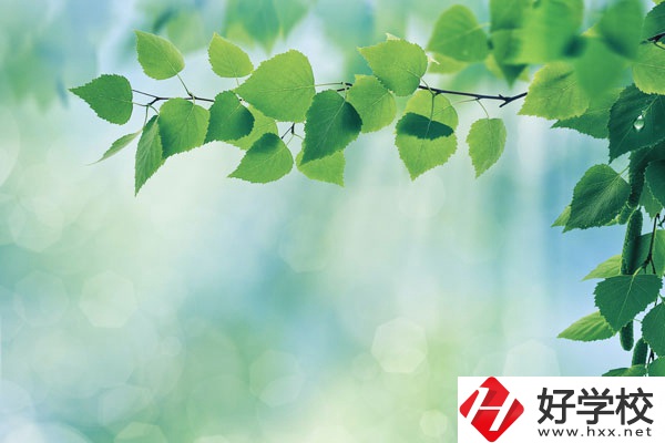 永州工商職業(yè)中等專業(yè)學校哪些是特色專業(yè)？好就業(yè)嗎？