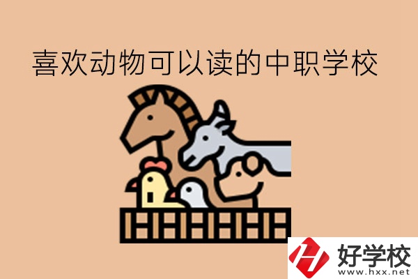 喜歡動物的學(xué)生，可以讀這些中職學(xué)校!