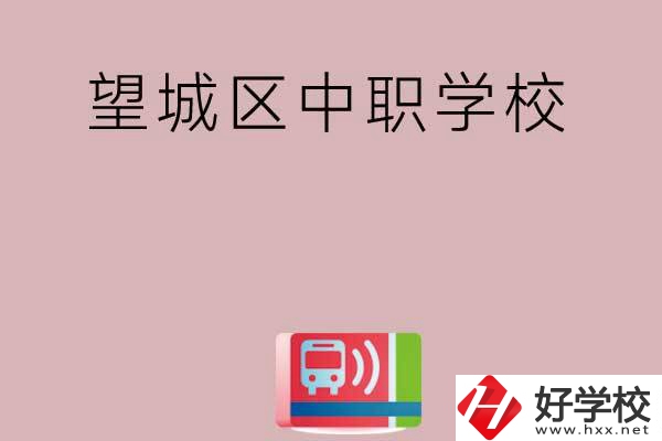 長(zhǎng)沙望城區(qū)有哪些中職學(xué)校？