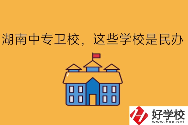 湖南中專衛(wèi)校，這些學(xué)校是民辦!
