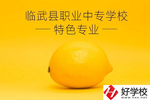 臨武縣職業(yè)中專學校好嗎？有哪些特色專業(yè)？