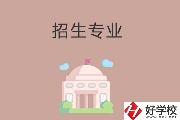 益陽(yáng)有哪些高職院校設(shè)立了中職部？招生專業(yè)有哪些？