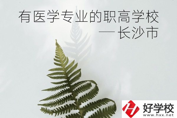 長沙市哪些職高學(xué)校有醫(yī)學(xué)專業(yè)？