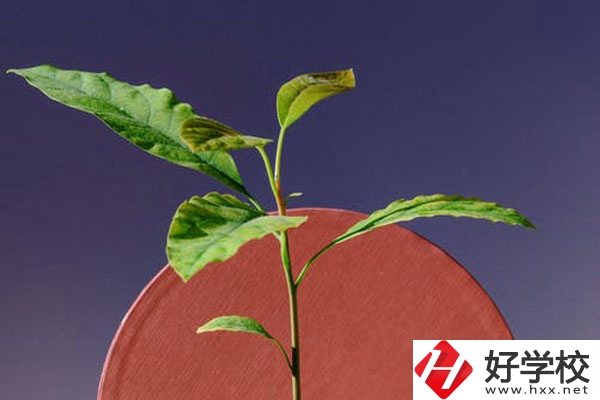 株洲市工業(yè)中等專校怎么樣？好不好？