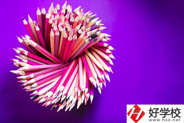 在懷化有什么職?？梢詫W(xué)習(xí)幼師？好不好？