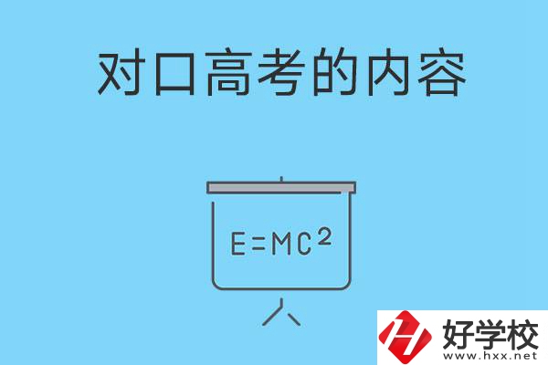 湖南職高對(duì)口高考主要考什么內(nèi)容？難度大不大？