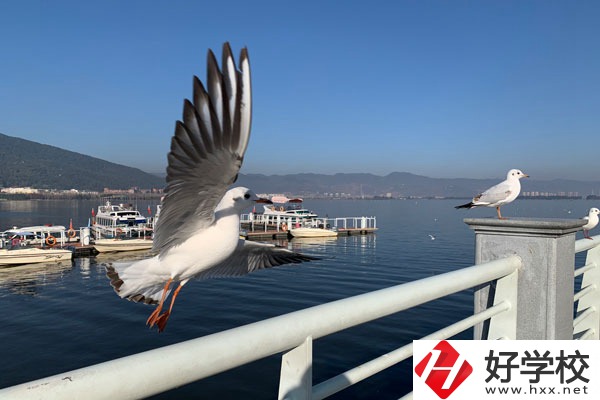 準(zhǔn)備讀中專(zhuān)，衡陽(yáng)縣職業(yè)中專(zhuān)好不好？