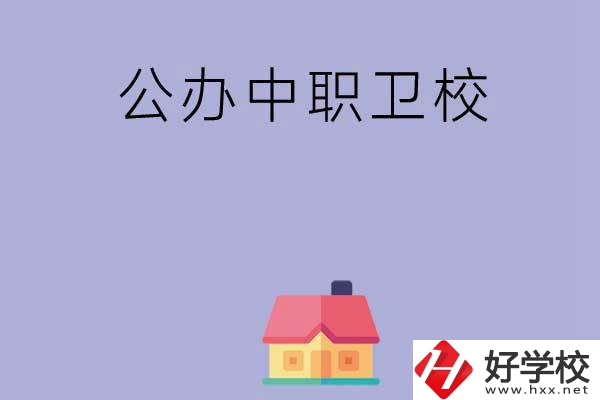 湖南公辦中職衛(wèi)校有哪些？這2所值得關注！