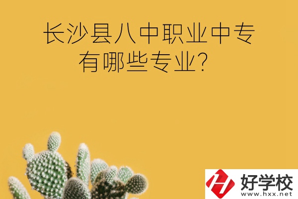 長沙縣八中職業(yè)中專好不好？有哪些專業(yè)？