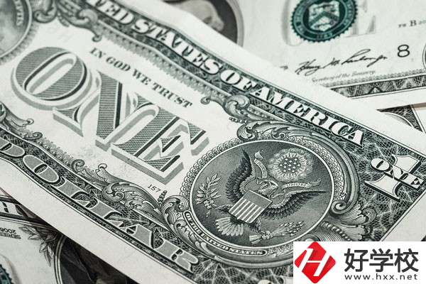 湖南的技校學(xué)費(fèi)貴嗎？有哪些補(bǔ)貼政策？