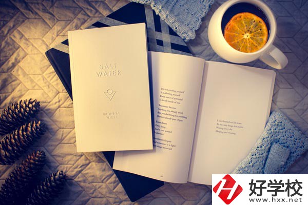 婁底技師學(xué)院有哪些專業(yè)？好就業(yè)嗎？