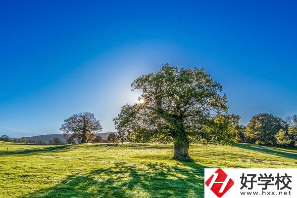 湘西旅游學(xué)校是一所怎樣的中專？