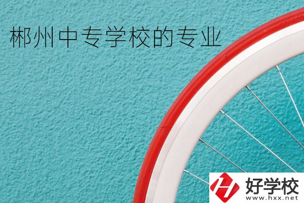 郴州中專學(xué)校有什么專業(yè)？