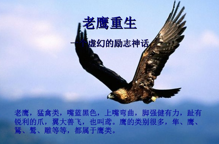 遂寧電力工程學(xué)校2025年學(xué)費(fèi)多少？貴嗎？