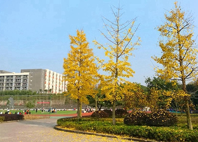 2025哈爾濱排名前三的衛(wèi)生學(xué)校名單